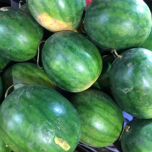 

Semangka Merah ±3 kg