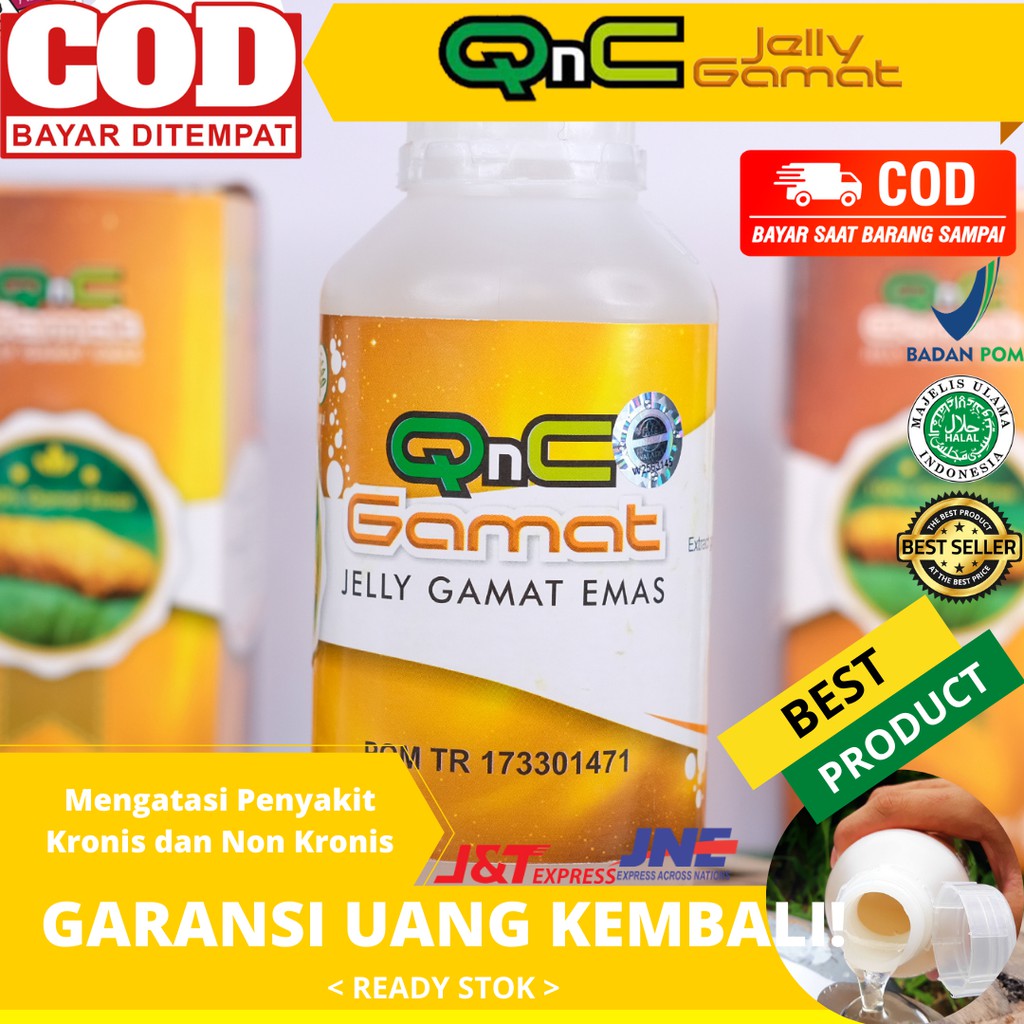 Jual Obat Ginjal Asam Lambung, DLL 100 Ektrak Teripang Emas