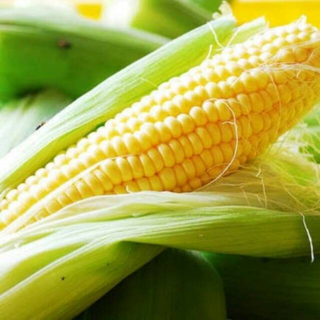 

Jagung manis