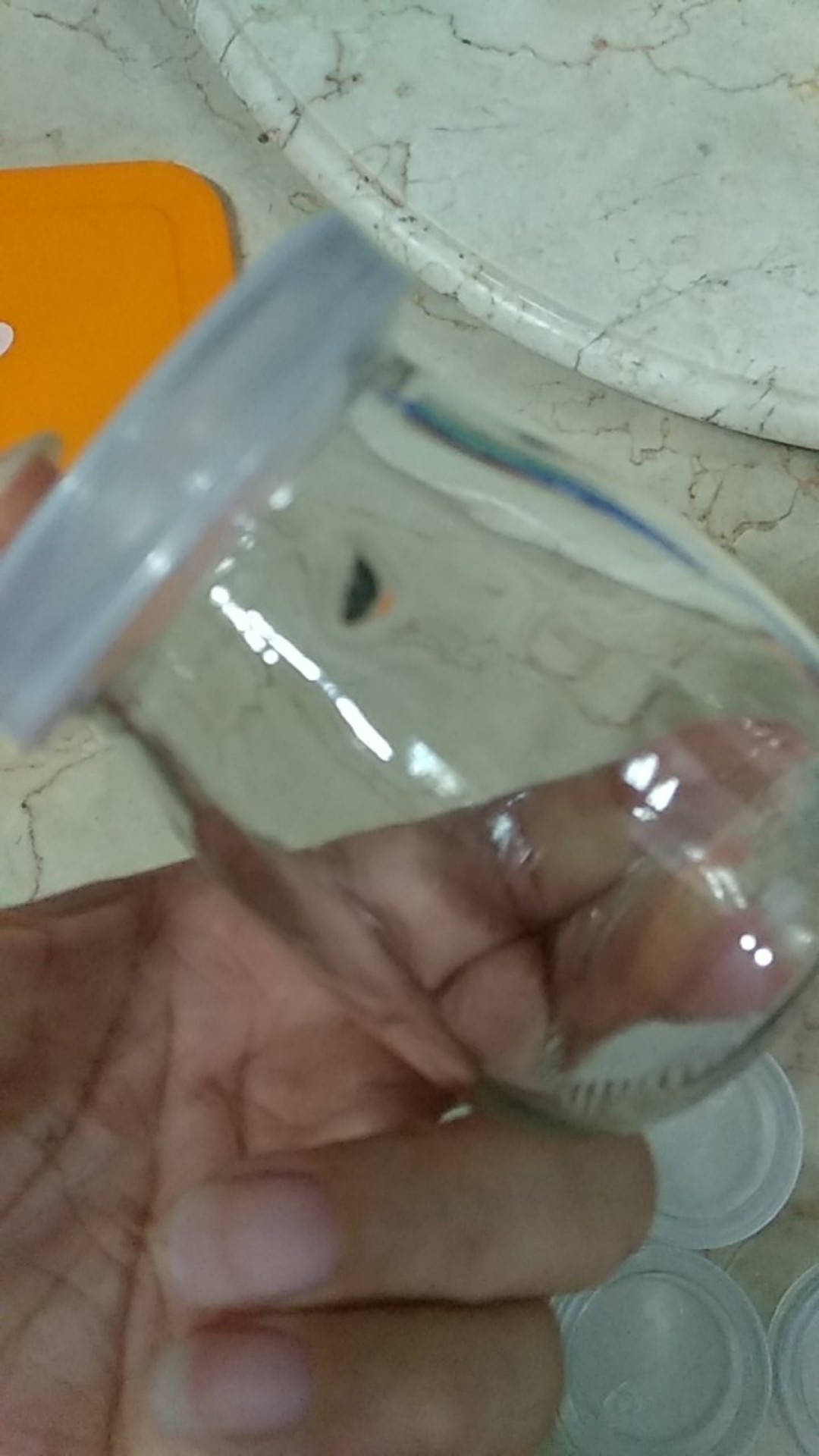 Toples Jar Kaca Pudding 100ml Mini Gelas Serbaguna Dessert Kue