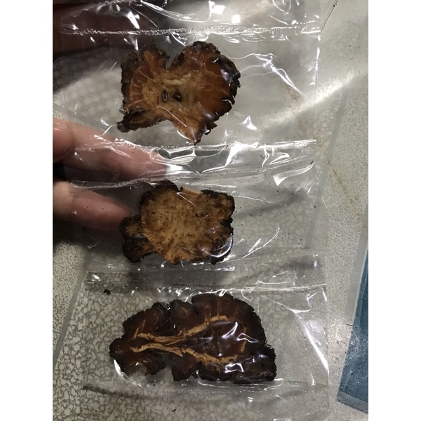 

Daun Ganti / Daun Geganti