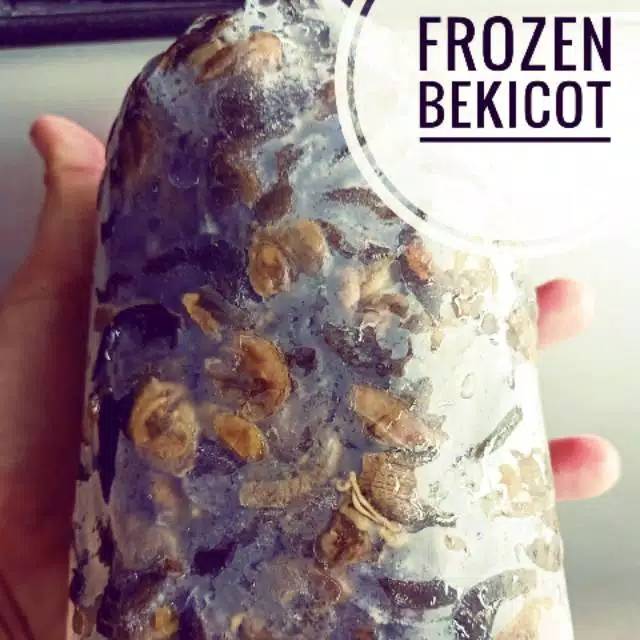Daging Bekicot Sudah Rebusan Siap Masak Siap Diolah Bekicot Frozen Fresh Tahan Lama