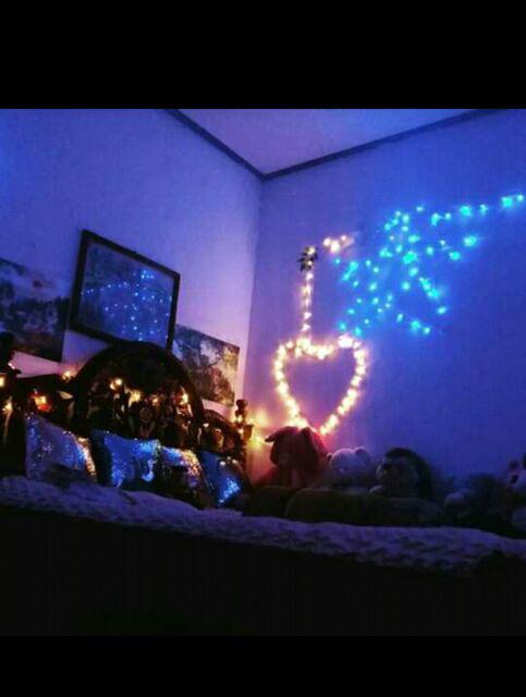 Benih Biji Selada Merah Red Lettuce