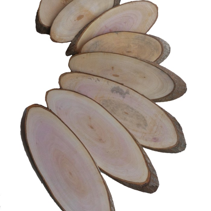 Big oval wood 20-24 cm chip potongan kayu opal panjang dekorasi hiasan