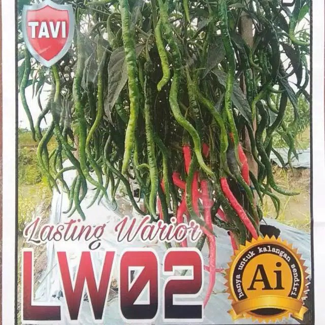 Benih Cabe Keriting CMK LW-02 10 Gr Asli AI Seed