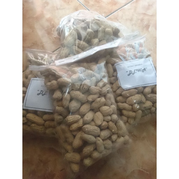 

kacang sangrai