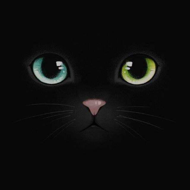 sofyantiheryanti2406