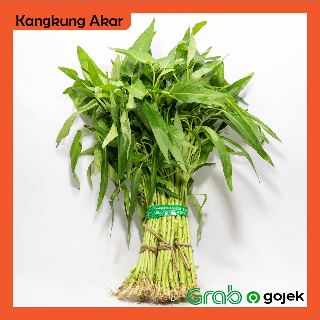 

Kangkung Akar 3 iket
