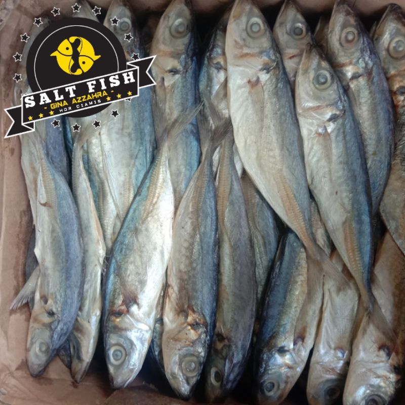 

Ikan Asin Layang K1 / Bolocot Besar Super (500 Gram)