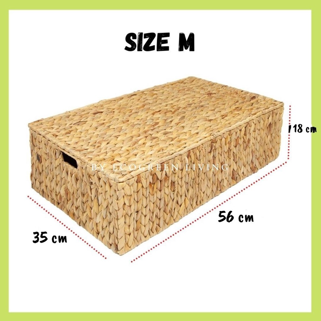 ECOGEEN LIVING BOX RECTANGLE ECENG TUTUP UKURAN BESAR (Dengan rangka besi di dalamnya)