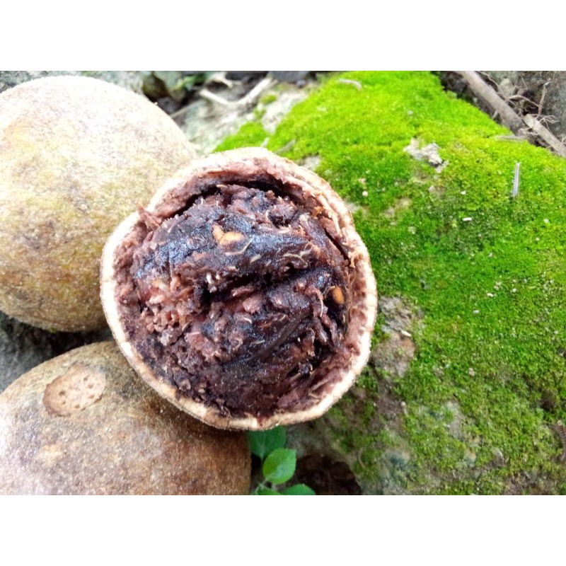 

buah kawis 1kg ( isi 2-4 buah)