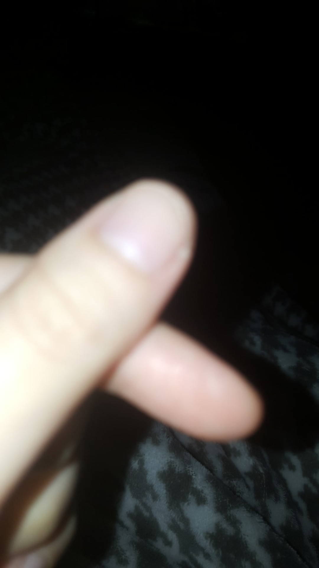 Toples Calista Odate 0,6 Kg / Toples Motif Karakter Lucu Calista Odate