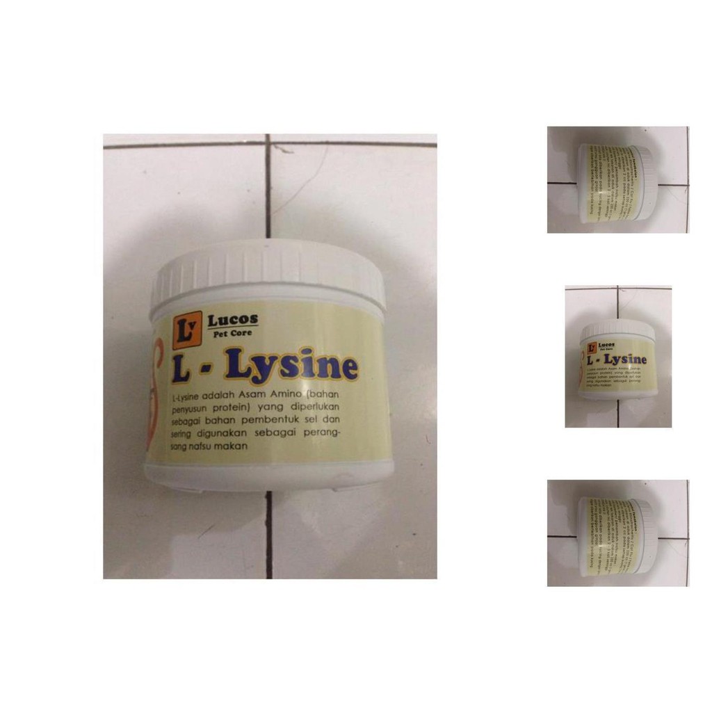 lysine lisine cat l lysine lucos kucing