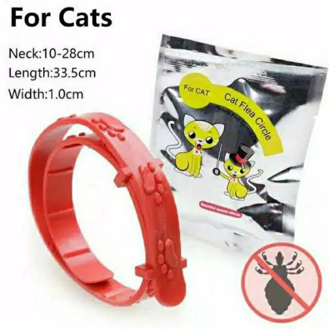 Size S Kalung Kucing Anjing Anti Kutu Cat Dog Collar Flea Tick