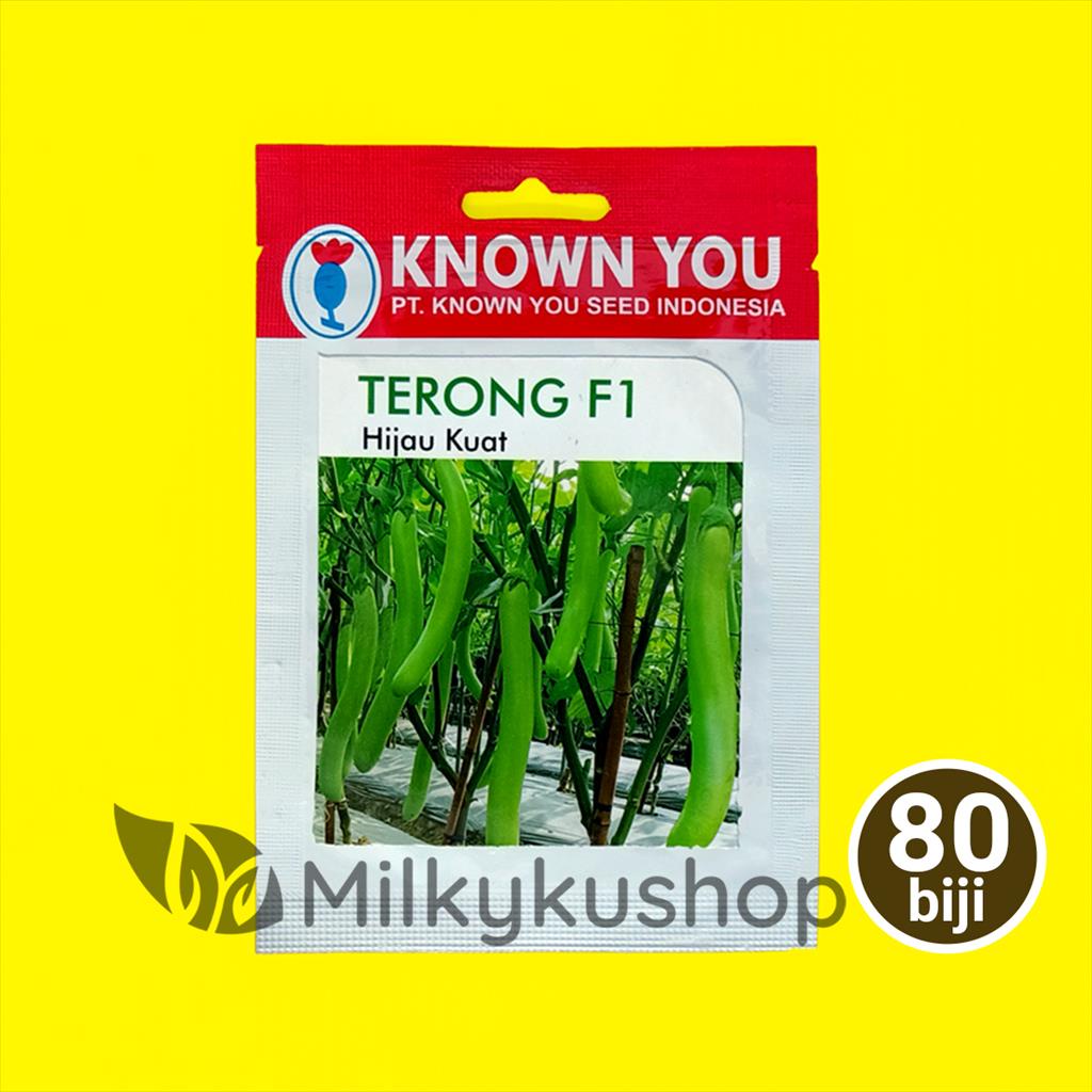 BENIH KYS KNOWN YOU SEED TERONG F1 HIJAU KUAT 80 BIJI KP