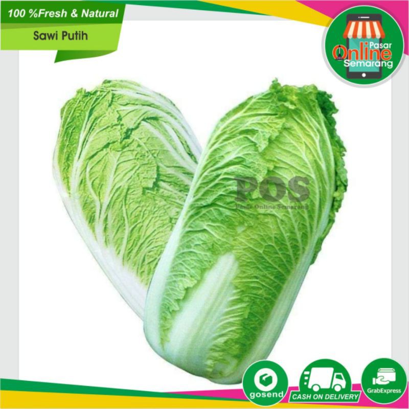 

Sayur Sayuran Sawi Putih / Sayur Selobor / Sayur Slobor / Sayuran Segar / Fresh / Makanan Sehat Cod