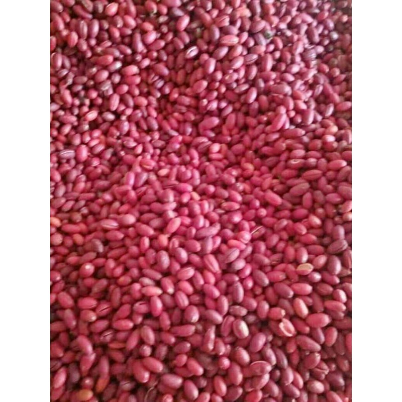 

KULIT MELINJO KULIT TANGKIL SEGAR SATU KILO