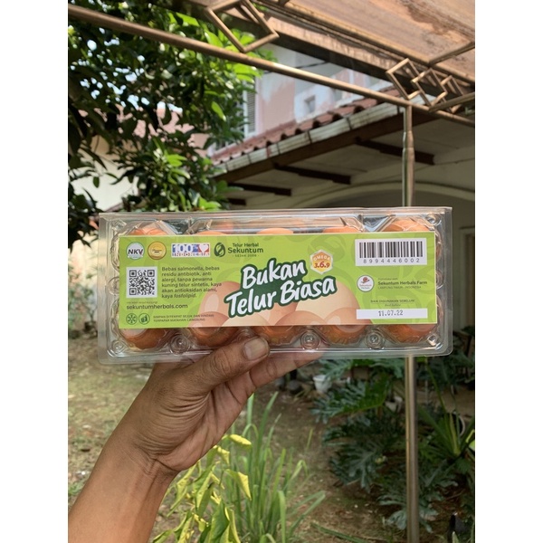 

Telur omega 3 / telur herbal