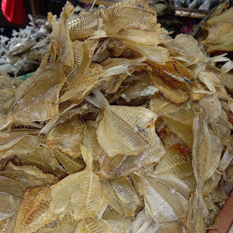 

IKAN KAPASAN TAWAR (500 gram)