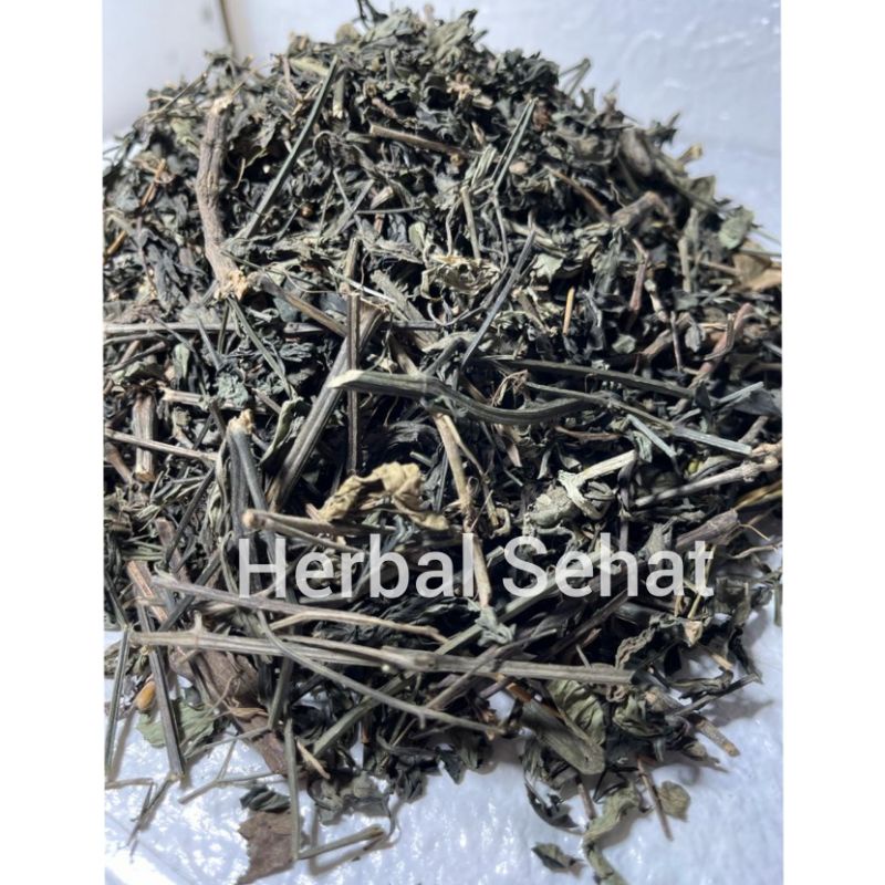600 g gr gram Daun Sambiloto - Daun Sambiloto kering - Daun Paitan - sambiloto curah