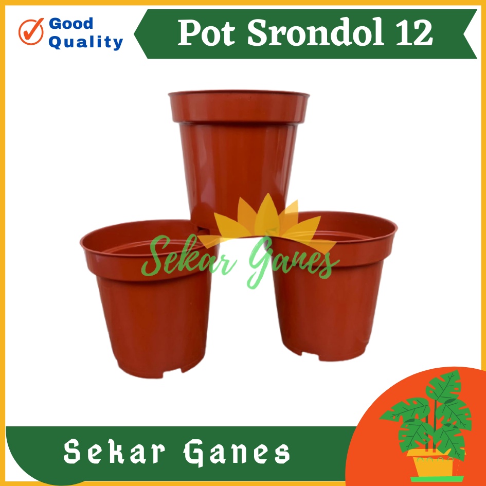 Pot Tinggi Srondol 12 Merah BataTerracota Coklat - Pot Tinggi Usa Effiel 18 20 25 Lusinan Pot Tinggi Tirus 15 18 20 30 35 40 50 Cm Paket murah isi 1 lusin pot tanaman Pot Bibit Besar Mini Kecil Pot Srondol Pot Bunga Termurah