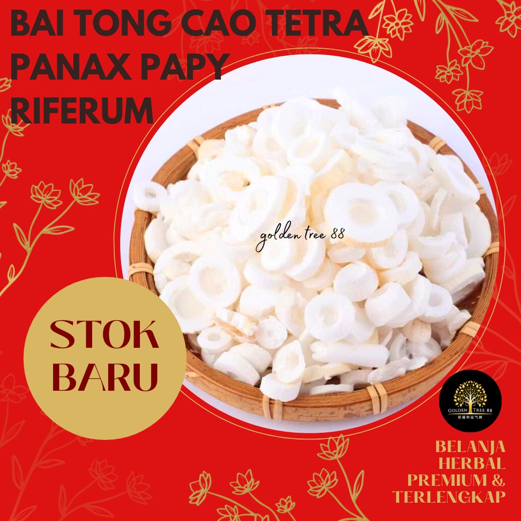 

5 gram Premium Bai Tong Cao Tetrapanax Papyriferus Fresh Original