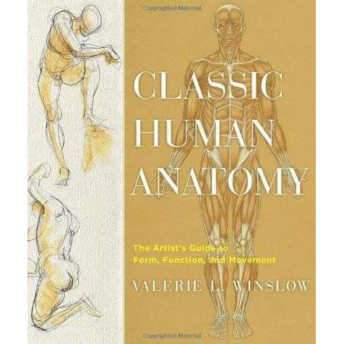 Classic Human Anatomy For Artist - Winslow