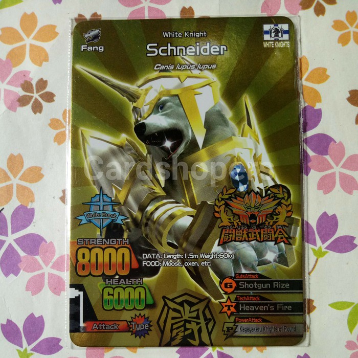 animal kaiser silver champion schneider