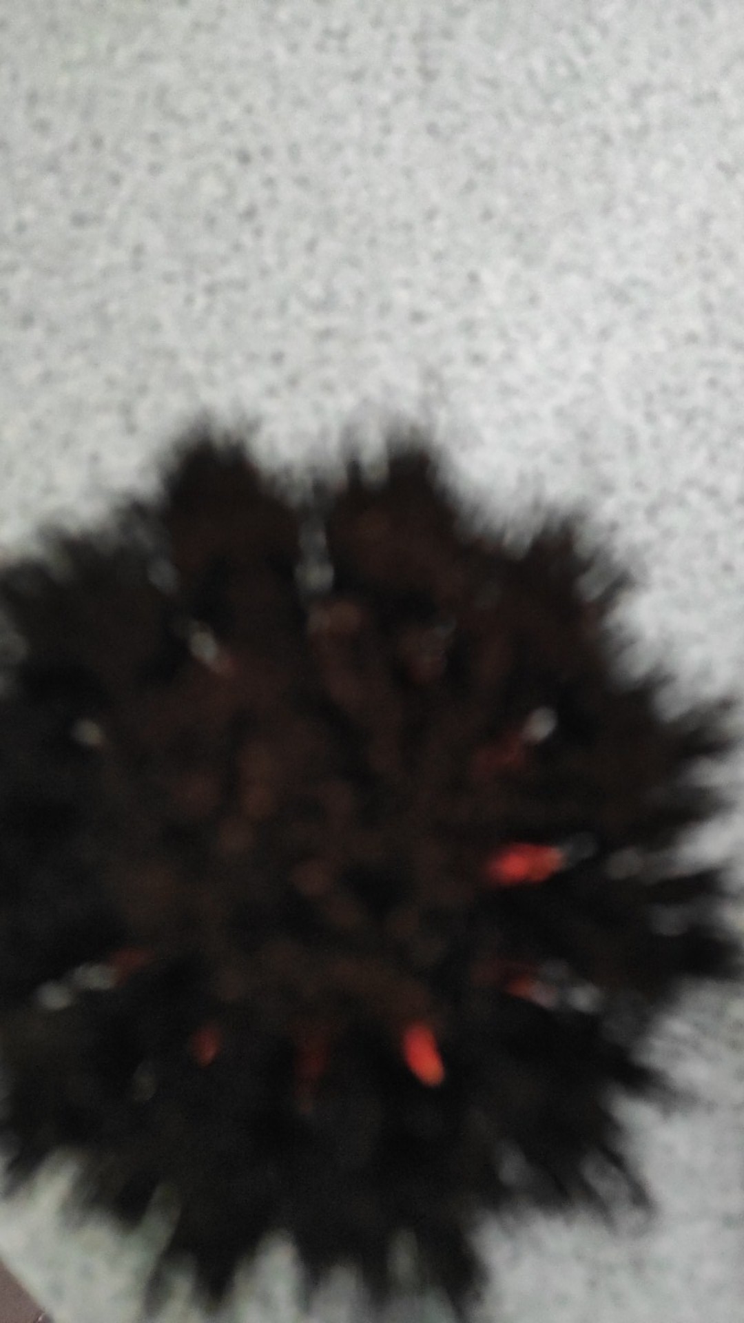 2 Macan Sikat Mini Injuk 2 Macan. Sikat Wajan