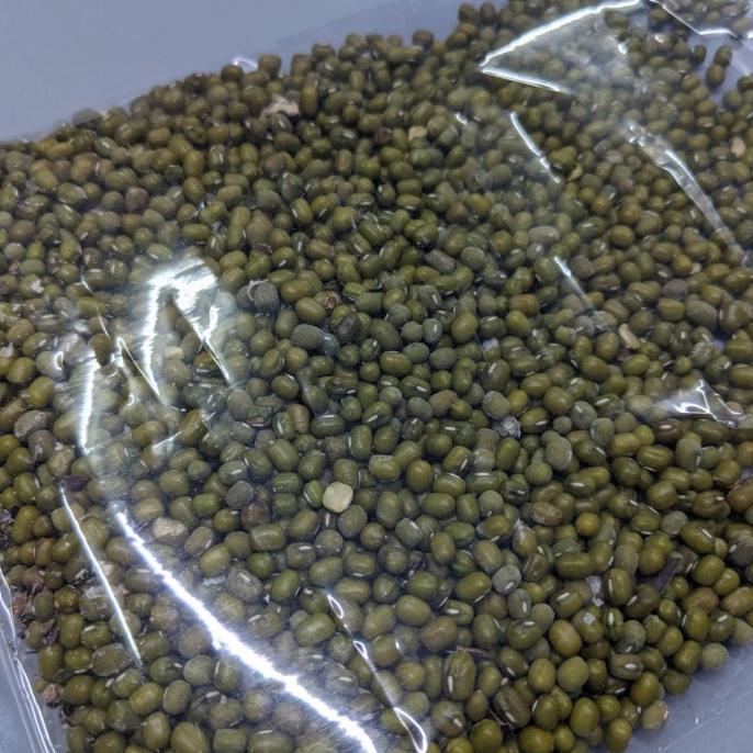 

kacang hijau kacang ijo gilap minyak panenan 2021 per kilogram |Stok Limitide