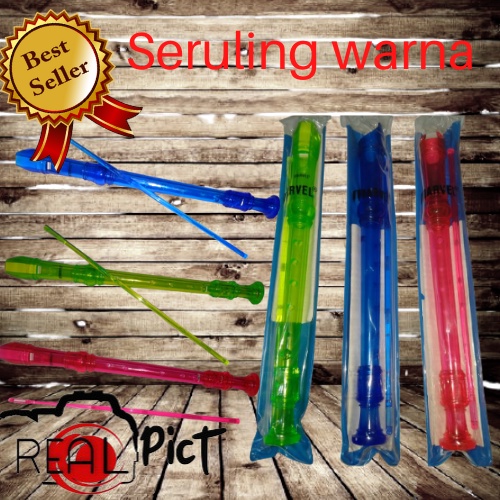 Alat Musik Tiup Recorder/Seruling Warna