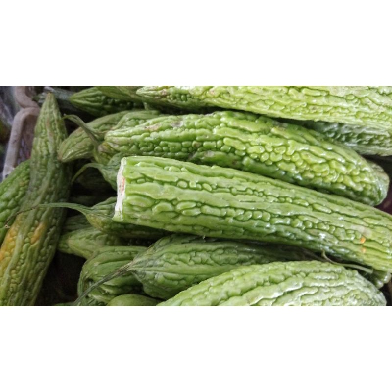 

Peria Pare Paria Ampalaya sayur