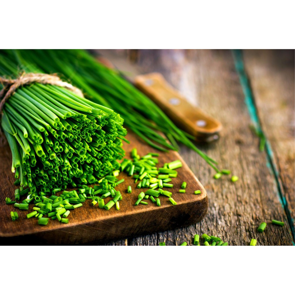 Benih-Bibit Daun Bawang Chives (Haira Seed)