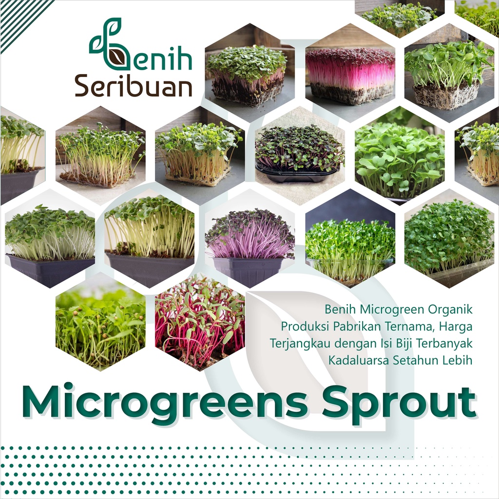 BS-BYL Benih Microgreen Sayur Organik Sprout Seed Bibit Sayuran Microgreens Alfalfa Broccoli Bok Pak Choy Red Cabbage Radish dll