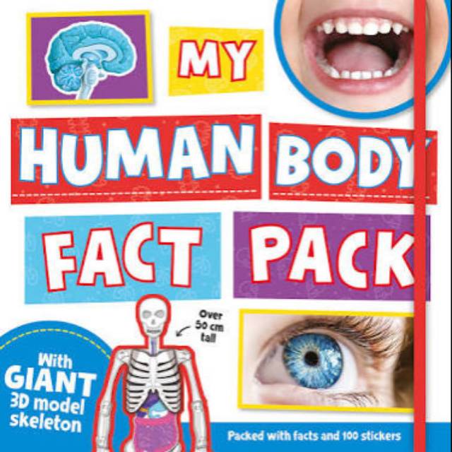 My Human Body Fact Pack
