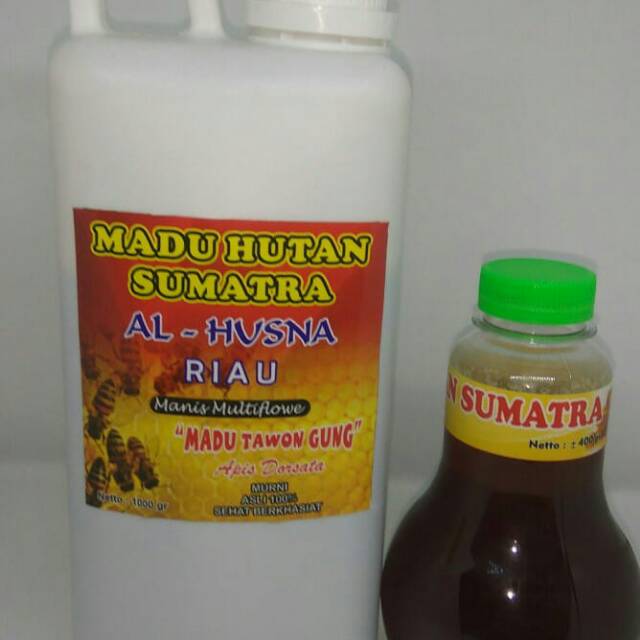 

Madu hutan kalimantan