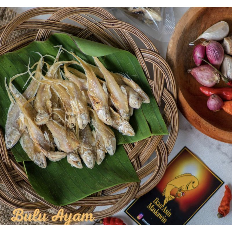 

Bulu ayam 500gr -1kg