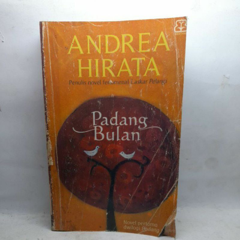 ANDREA HIRATA ( PADANG BULAN & CINTA DALAM GELAS )