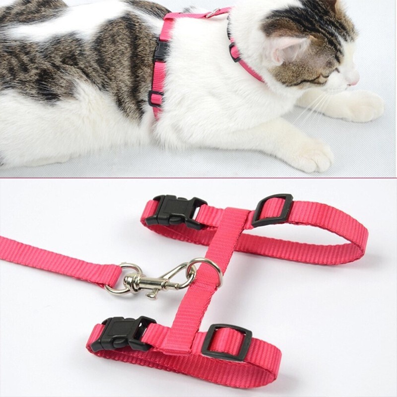 Harness H Hernes Tali Hewan Kalung Tuntun Badan Kucing Musang Kelinci FEFARM