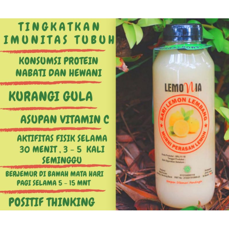 

MAR Lemonia ml isi 1