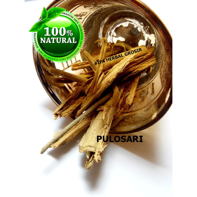 

Jamu Herbal Tradisional Tanaman Obat Pulosari