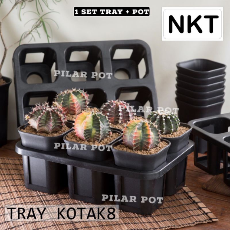 1 set Tray + pot bunga tanaman nkt kotak 8 cm | tray semai bibit