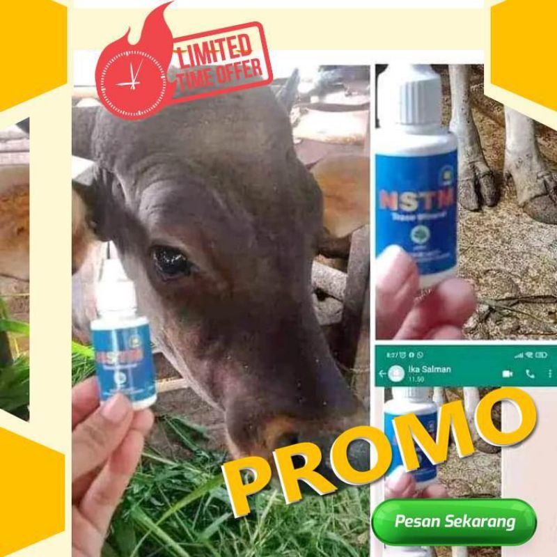 NSTM obat tetes pmk (PENYAKIT MULUT DAN KUKU) sapi