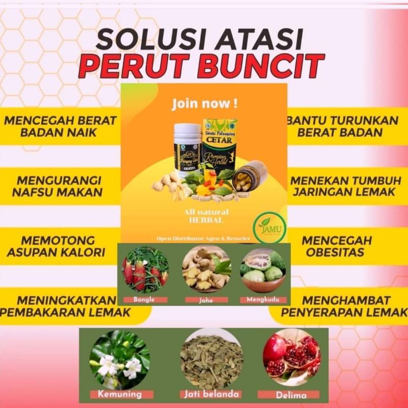 solusi atasi perut buncit tanpa harus menyiksa diri  JMP SHINTA PELANGSING CETAR