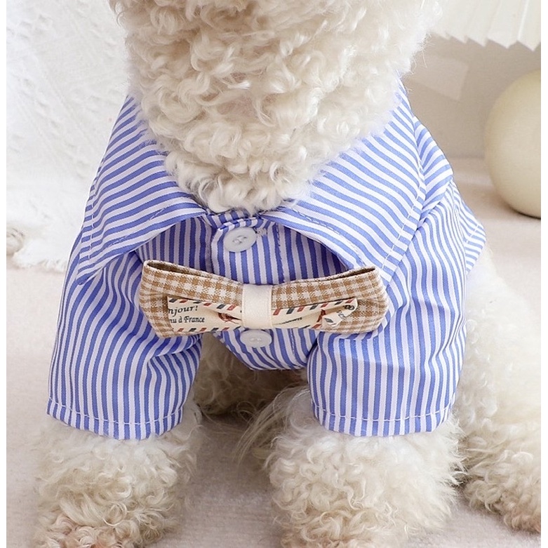 Ho young stripe shirt with bow