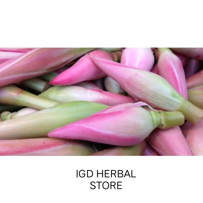 

KINCUNG/KECOMBRANG/HONJE 250gram