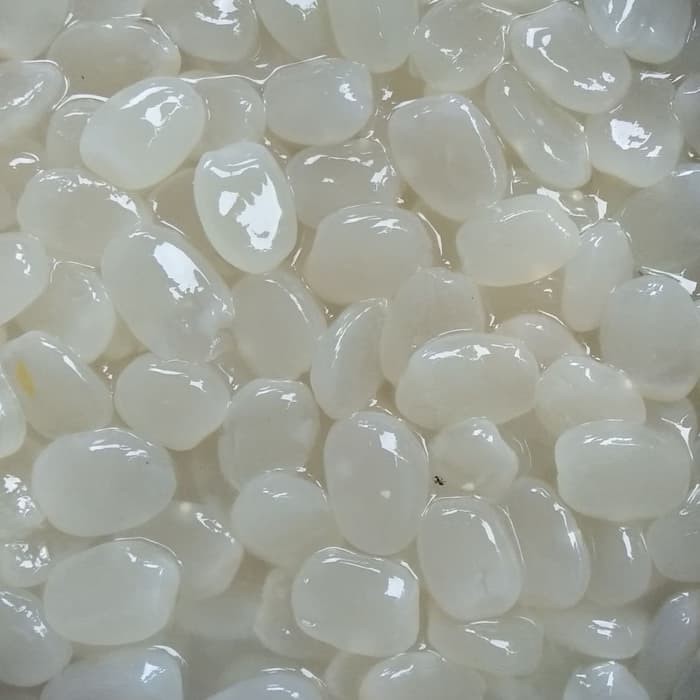 

Kolang kaling mentah cangkaleng 100gr - 500gr buat manisan
