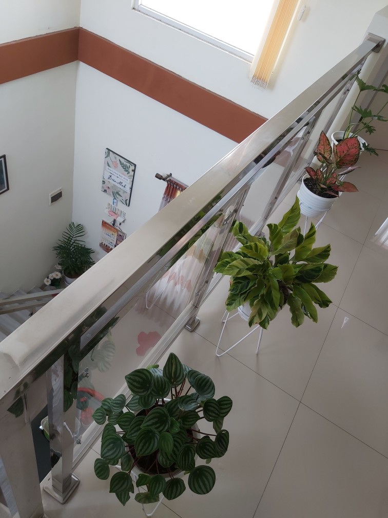 Standing Pot X Tinggi 30-40-50 Cm