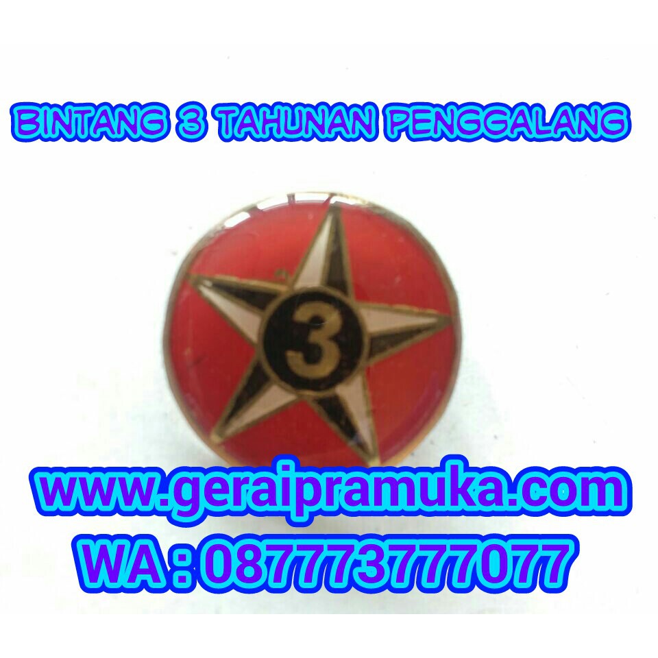 Pin Bintang 3 Tahunan Penggalang