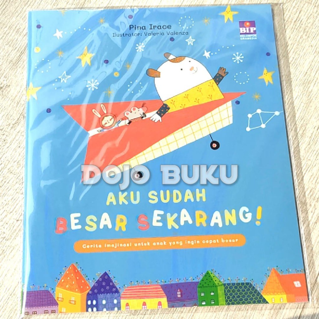 Aku Sudah Besar Sekarang! by Pina Irace